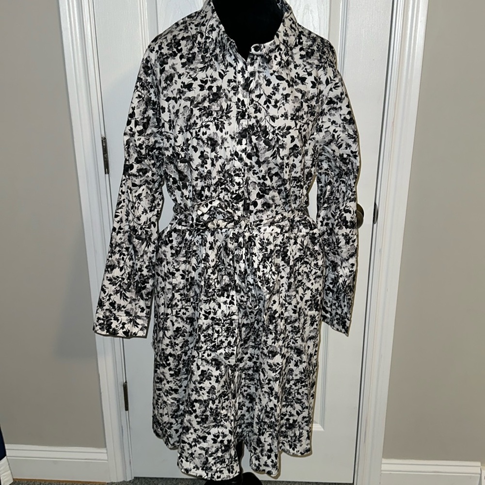 Mini Poplin Shirt Dress